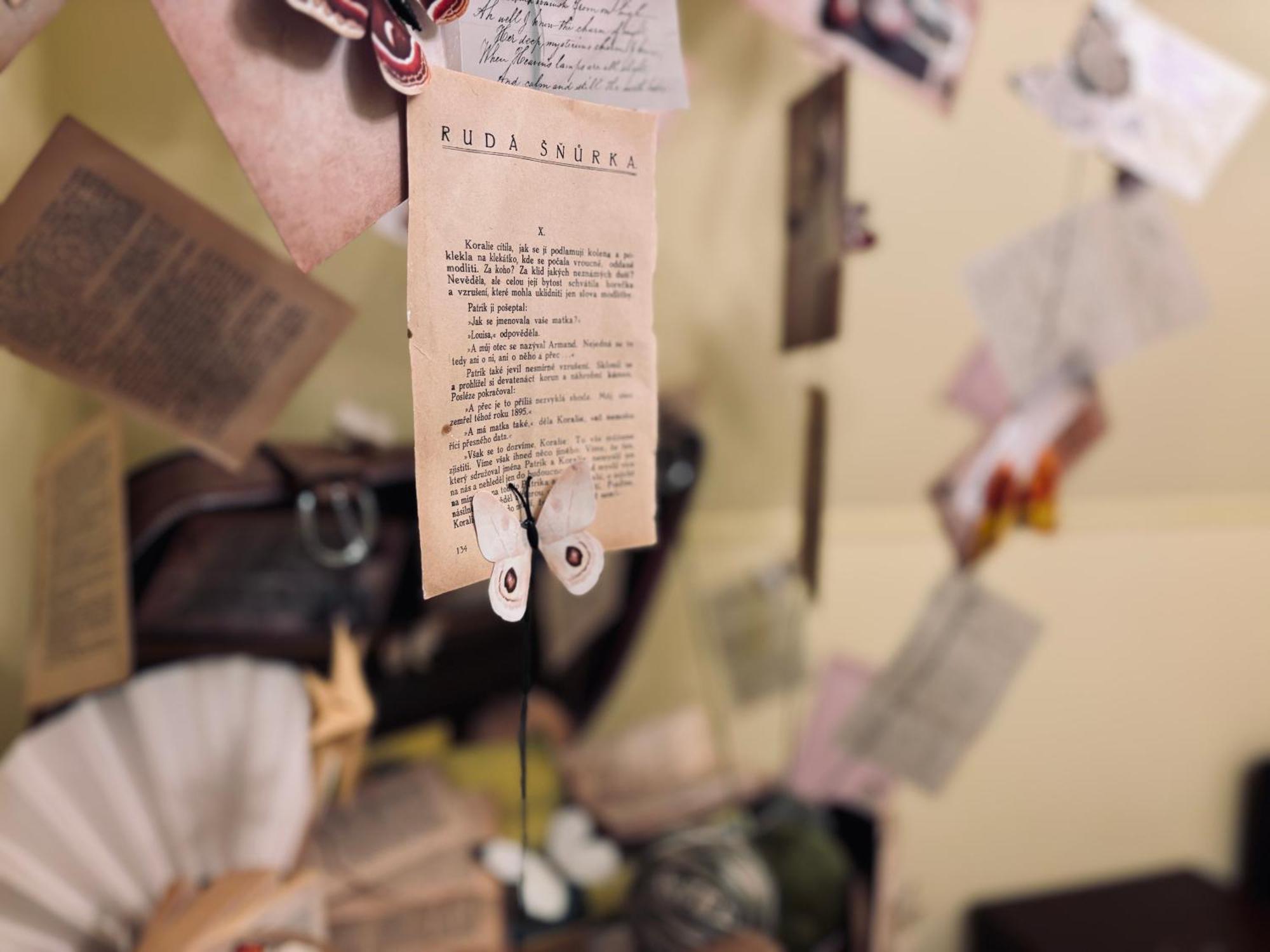 Poet'S Theme Room, Free Parking Карлові Вари Екстер'єр фото